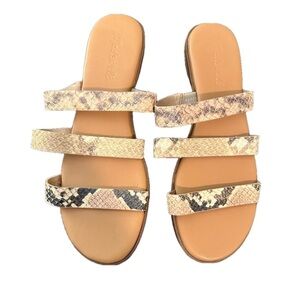 NWT MADEWELL BROWN CROC SANDALS